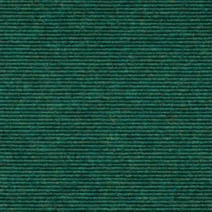 Ever - 1010114558 558 - Opal