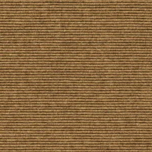Interland - 2020211532 532 - Sisal