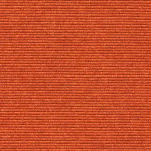 Interland - 2020211585 585 - Orange