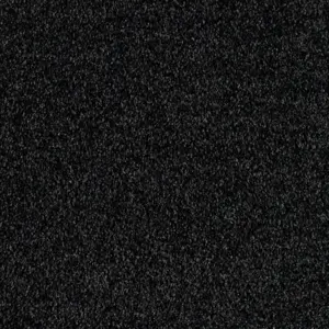 Euphoria - LEUP.500.0810 0810 CHARCOAL