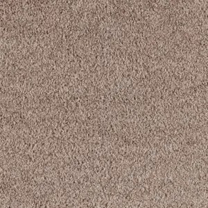 Euphoria - LEUP.500.0260 0260 CAMEL