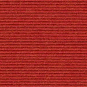 Interland - 1010110582 582 - Grapefruit
