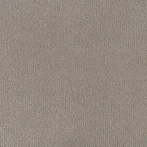 Pleasure - LPLE.500.0840 0840 MOONSHINE
