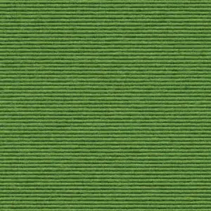 Interland - 2020211580 580 - Apfel