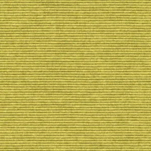 Interland - 2020211621 621 - Zitrone