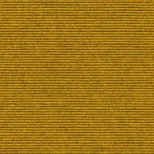 Interland - 1010110655 655 - Senf