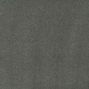 Pleasure - LPLE.500.0830 0830 ASH