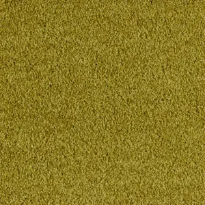 Euphoria - LEUP.400.0540 0540 CURRY